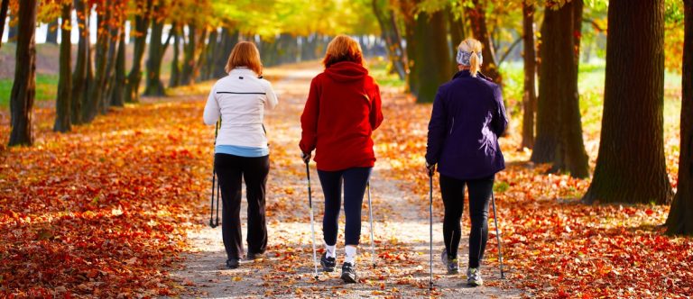Depositphotos 7466659 xl 2015 walking e1702243067319